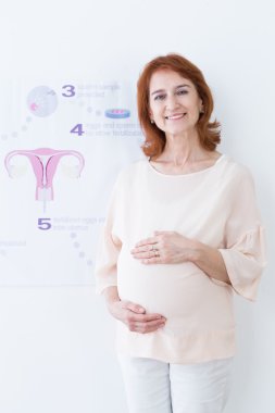 İn vitro fertilizasyon adımlardan