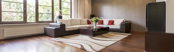 Sala de estar espaçosa com sofá extra grande — Fotografia de Stock