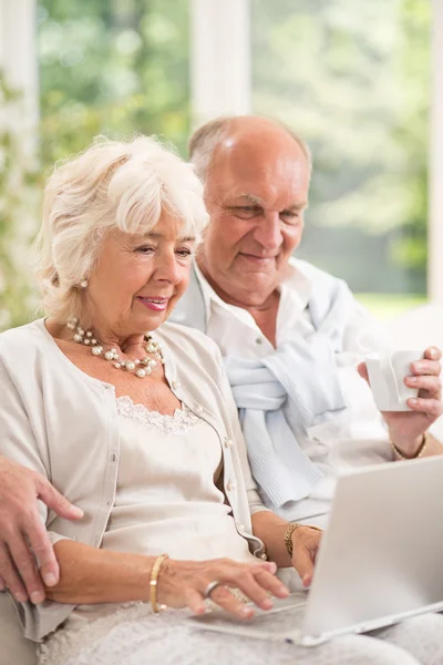 Elderly couple and internet — Stock Photo, Image