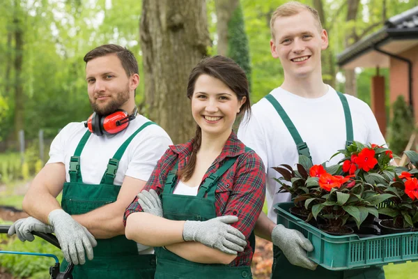 Equipo de jardineros llevando caja de esquejes —  Fotos de Stock