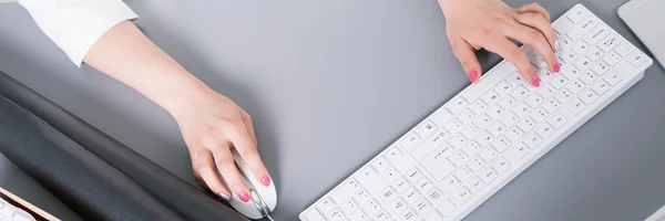 Female professionalist at her working desk