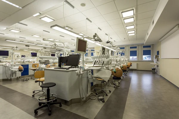 Burada pratik becerileri kazanmış alanı