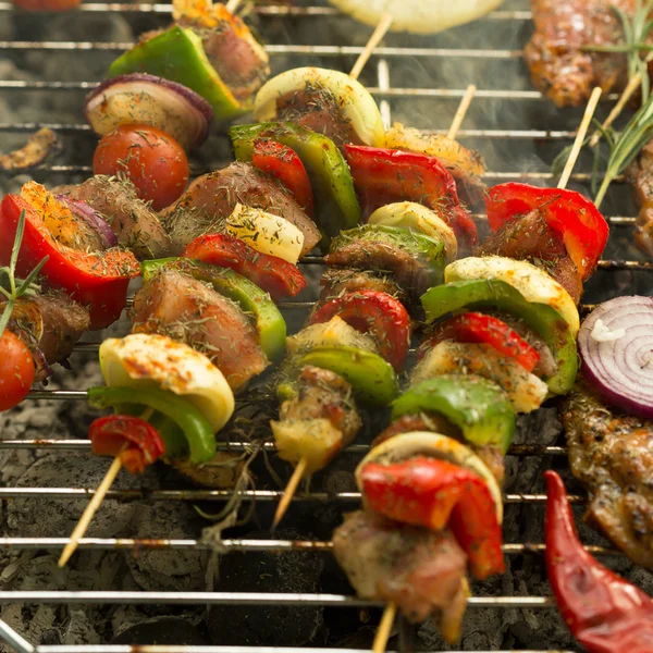 Renkli shashliks ızgara