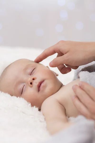 Er ist so zerbrechlich — Stockfoto