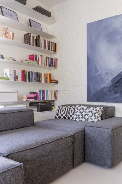 Bir kitap sevgilisi için modern köşe