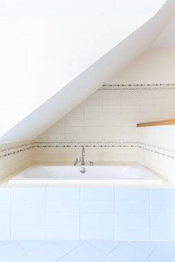 Fonksiyonel tavan banyo fikir