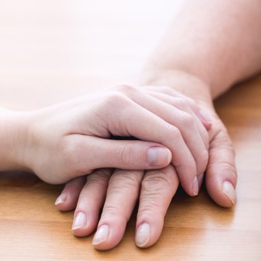 Jest destek ve bakım