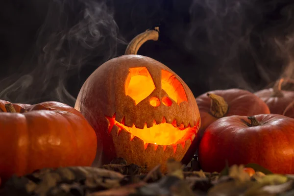 森のハロウィンかぼちゃ — ストック写真