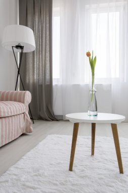 Basit mobilya rahat oturma odası