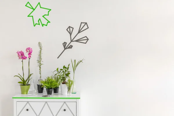 Ide dekorasi tanaman dalam ruangan — Stok Foto