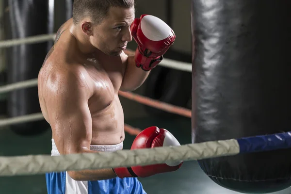 Boxer punching a heavy bag