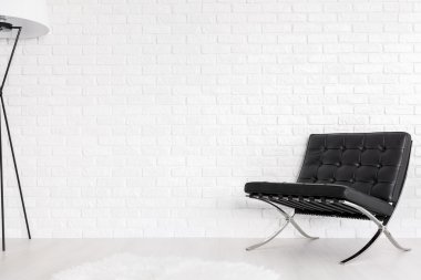 Siyah ve beyaz paragon modernist dekor