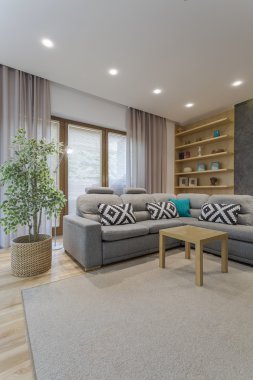 Oturma odası farklı desenler bağlanma