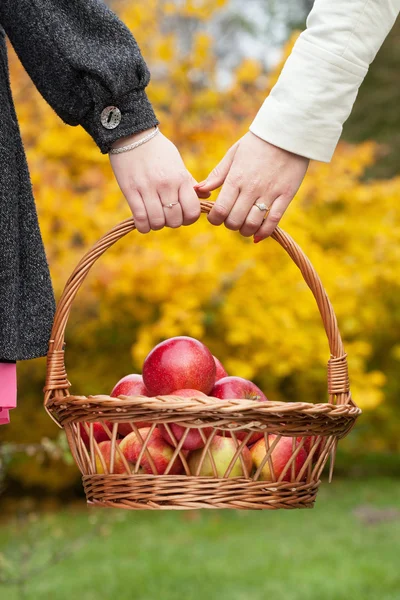 Koppel met mand met appelen — Stockfoto