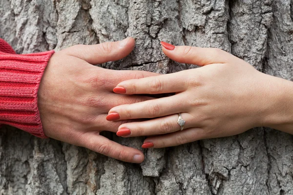 Hands around the tree — Stock Photo, Image