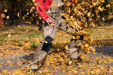 sonbahar komisyon gitar