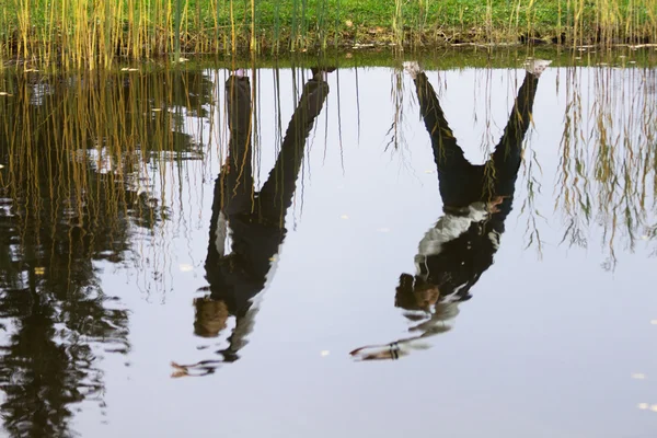 Exercises over pond — Stock Photo, Image