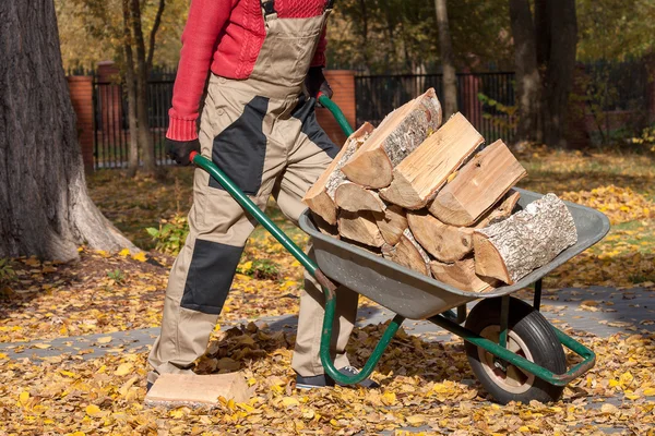 Borgen mit Holz — Stockfoto