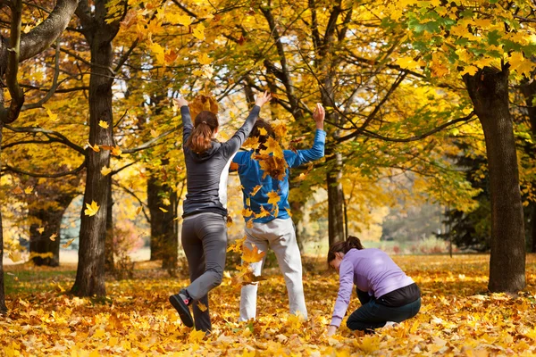 Веселье с осенними листьями — стоковое фото