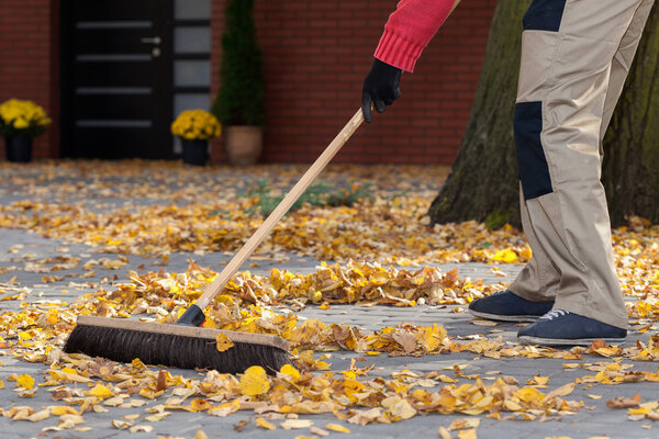 Sweeping leaves