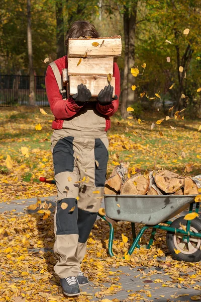 Gärtner pflückt Baumstämme — Stockfoto