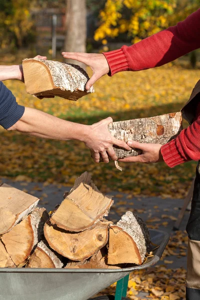 Familjen trä organisera — Stockfoto