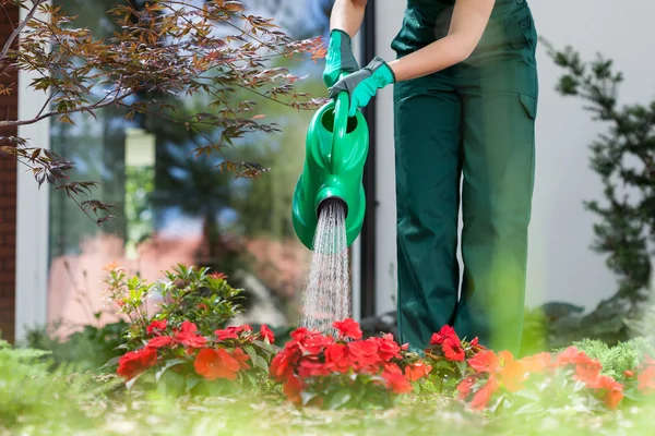 Jardinero regando flores — Foto de Stock