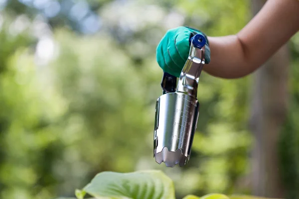 Gardener replanting flowers in garden — Stock Photo, Image