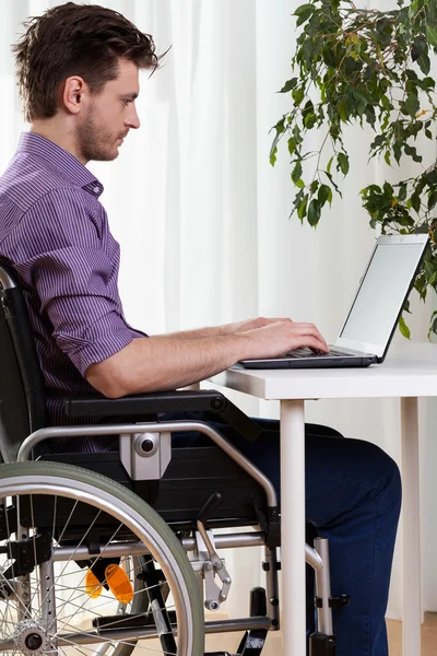 Человек на инвалидной коляске работает на ноутбуке — стоковое фото