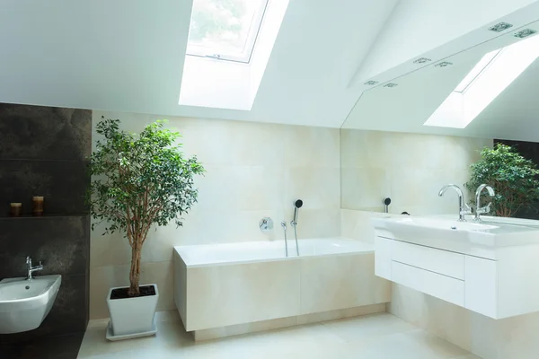 Spacious bathroom in neutral colours — Stock Image Spacious bathroom in neutral colours Royalty Free Stock Photos
