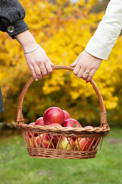 Niñas sosteniendo una cesta — Foto de Stock