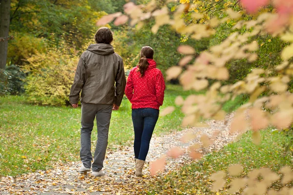 Gelukkige paar in bos — Stockfoto