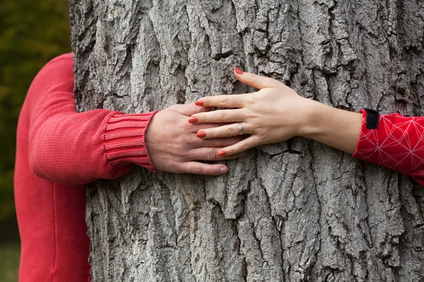 Tree hugging — Stock Photo, Image