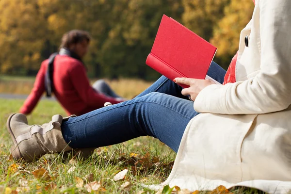 Otoño relajarse en el aire fresco — Foto de Stock