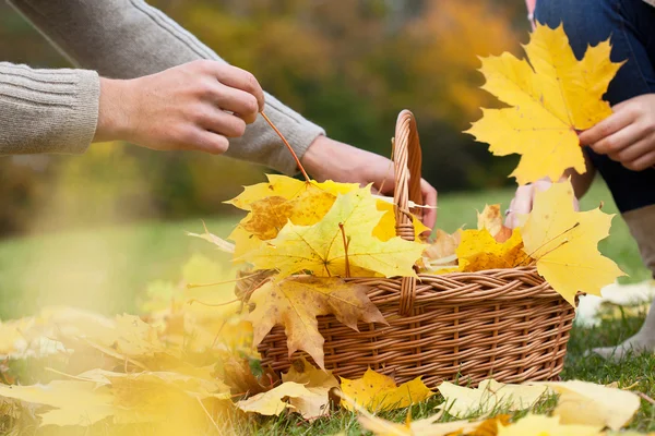 Sonbahar yaprakları ile oynamak — Stok fotoğraf