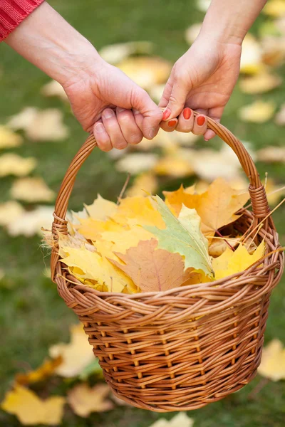 Happiness — Stock Photo, Image