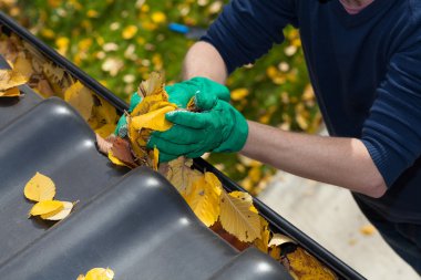 Cleaning the rain gutter during autumn clipart