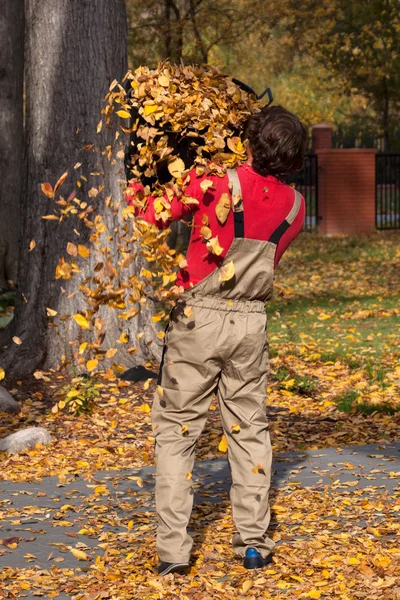 Mann arbeitet in einem Garten — Stockfoto