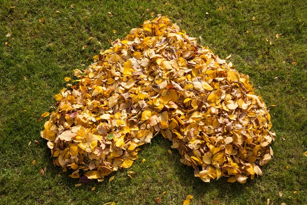 Autumnal heart in a garden — Stock Photo, Image