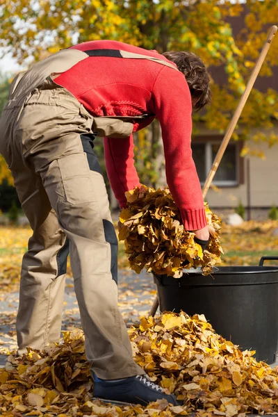 Tempo autunnale in giardino — Foto Stock