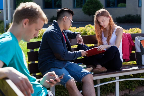 Rozmanité studentů studujících — Stock fotografie