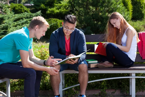 Studerar på ett läger för studenter — Stockfoto