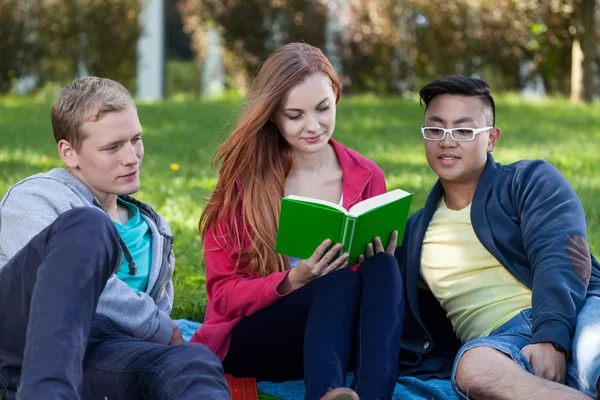 Students learning in a park — Stock Photo, Image