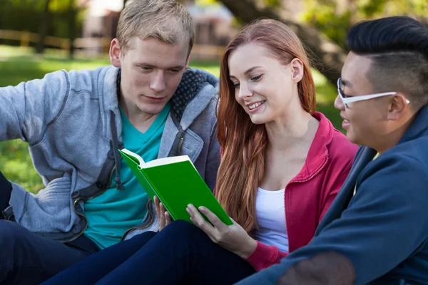 Diverse students learning together — Stock Photo, Image