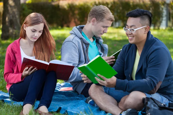 Lärande tillsammans i en park — Stockfoto