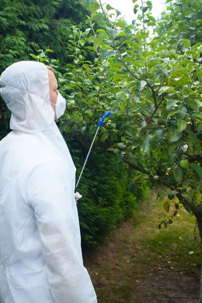 Jardineiro pulverizando árvores de fruto — Fotografia de Stock