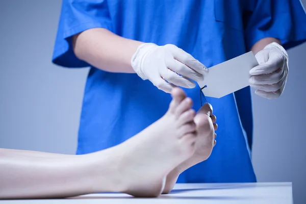 Enfermera trabajando en la morgue — Foto de Stock