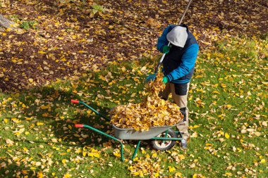 sonbahar sırasında erkek bahçıvan