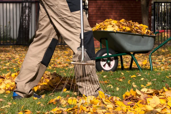 Preparación del jardín antes del otoño — Foto de Stock