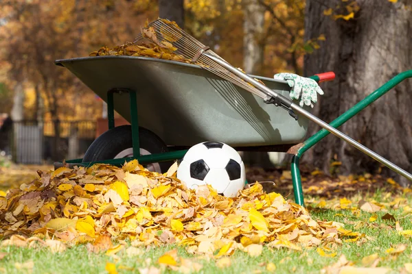 Autumnal garden cleaning — Stock Photo, Image